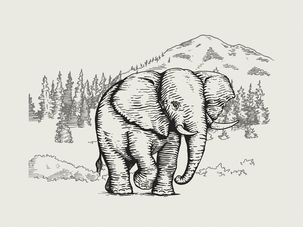 elephant-rock